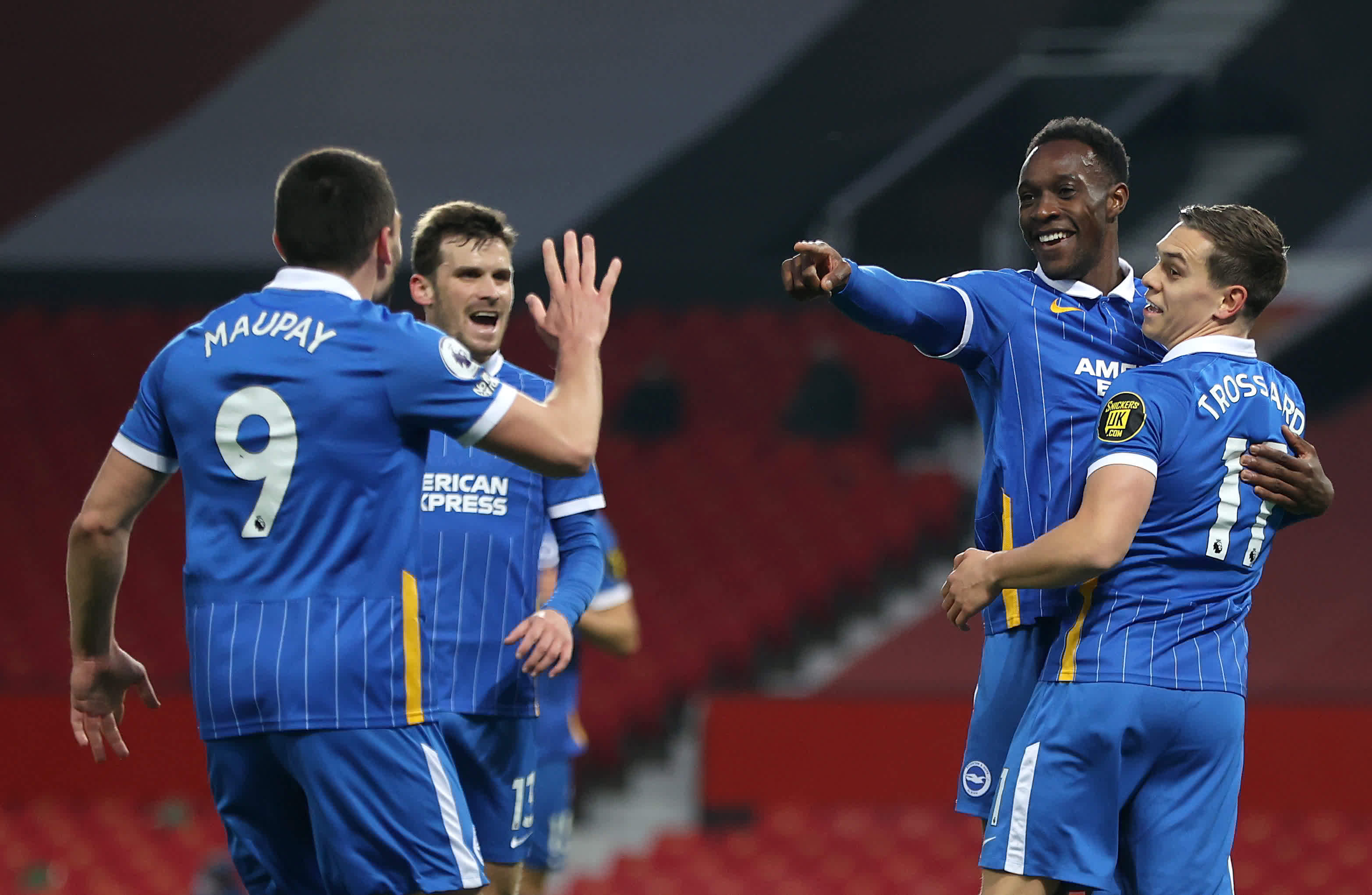 森林狼在这 森林狼在这