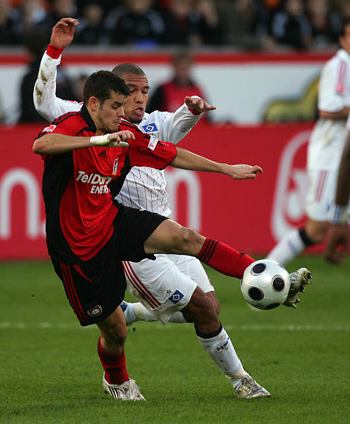 友行动的预 友行动的预